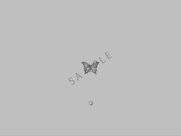 Product picture OS X Leopard boot image - Monarch Butterfly