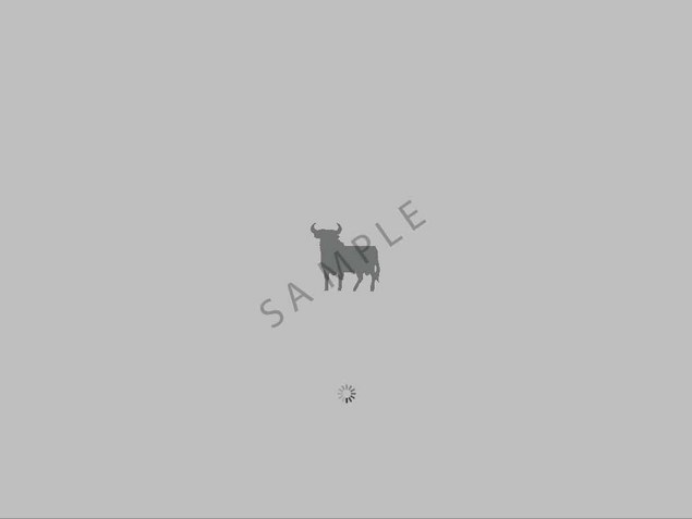 Product picture OS X Leopard boot image - Bull