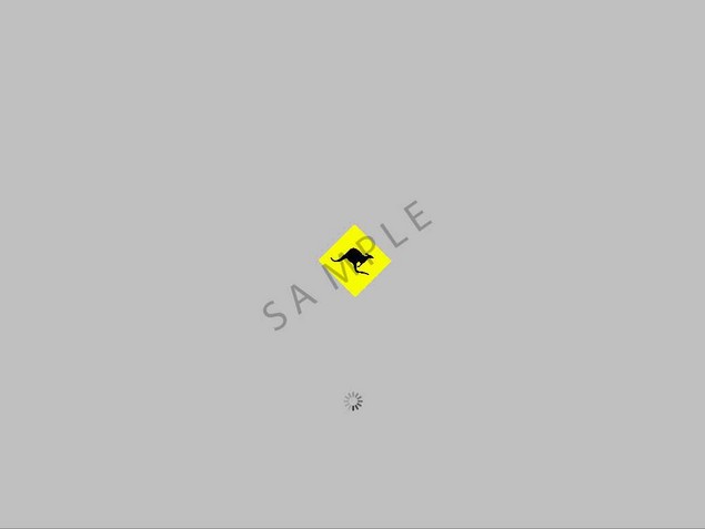 Product picture OS X Tiger boot image - Kangaroo