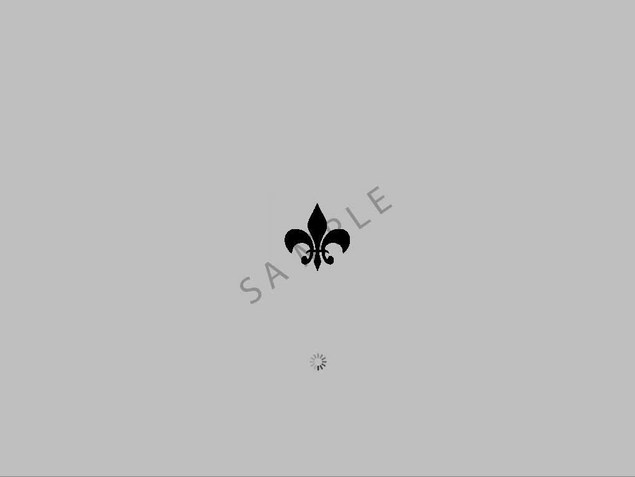 Product picture OS X Leopard boot image - Fleur de Lis