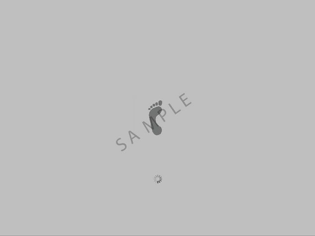 Product picture OS X Leopard boot image - Foot