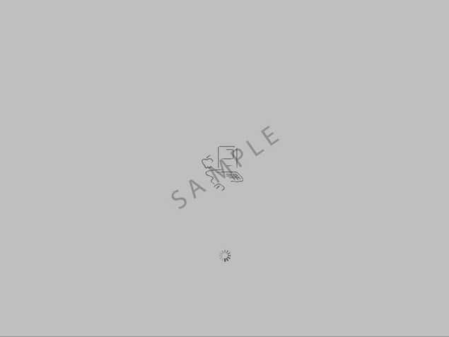 Product picture OS X Tiger boot image - Gray Picasso Logo